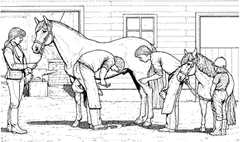 The Farrier at Work